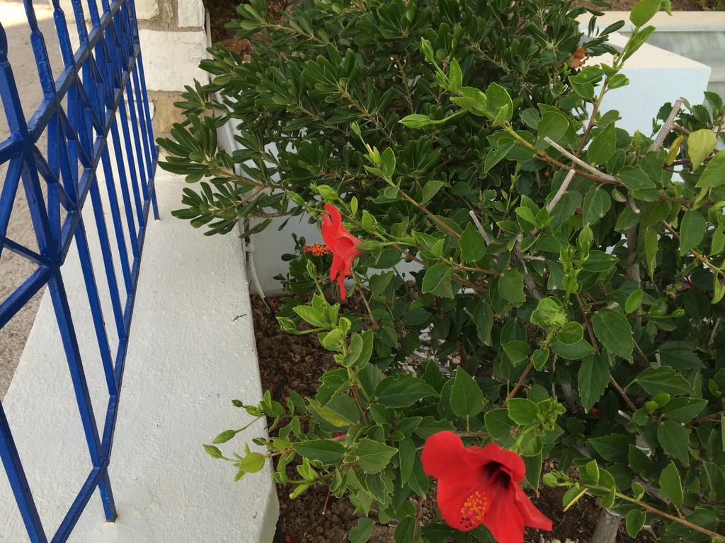 Sea Breeze Apartments Chios Monolia 외부 사진