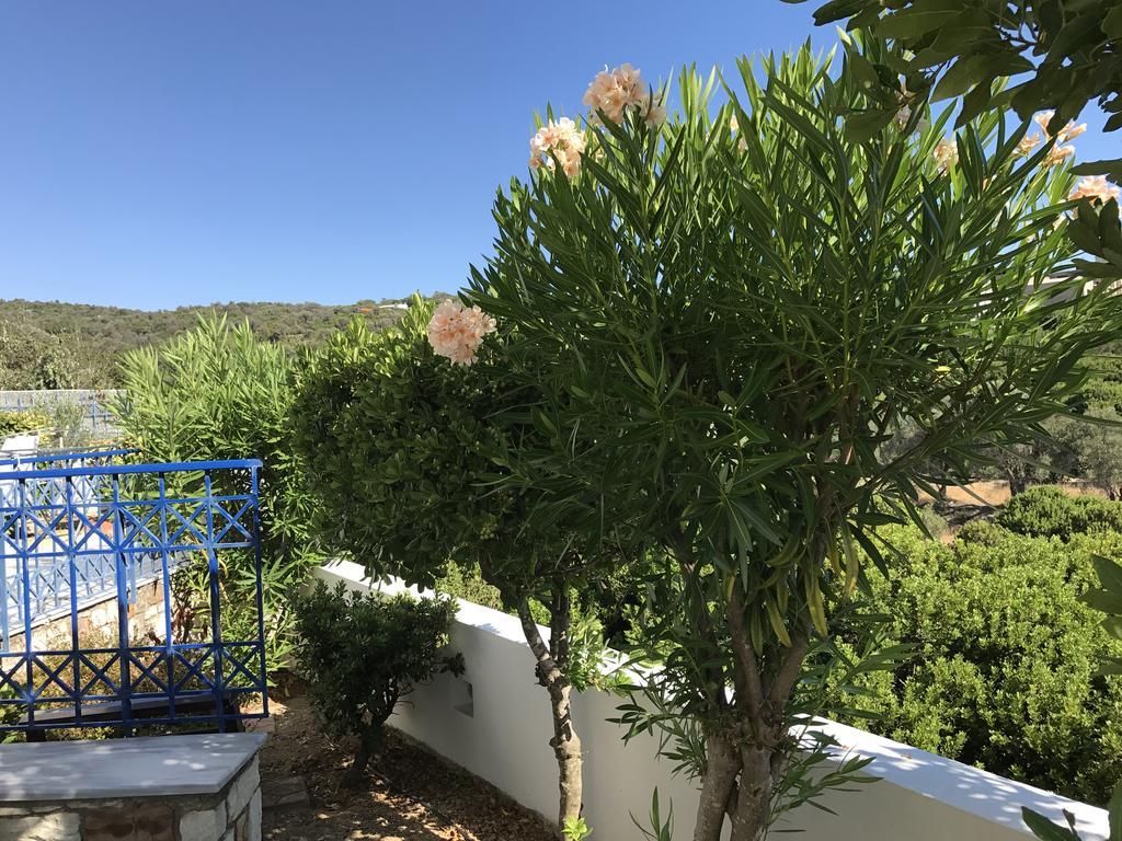 Sea Breeze Apartments Chios Monolia 외부 사진
