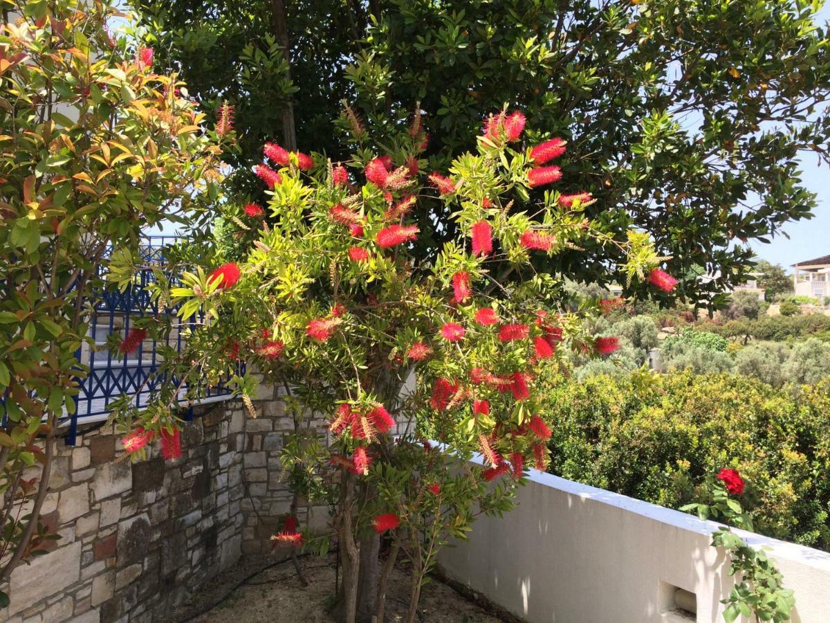 Sea Breeze Apartments Chios Monolia 외부 사진